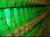 heineken factory